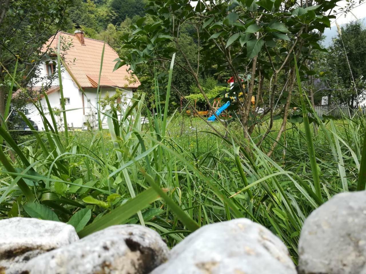 Cottage Forest Stream Visoko Bagian luar foto