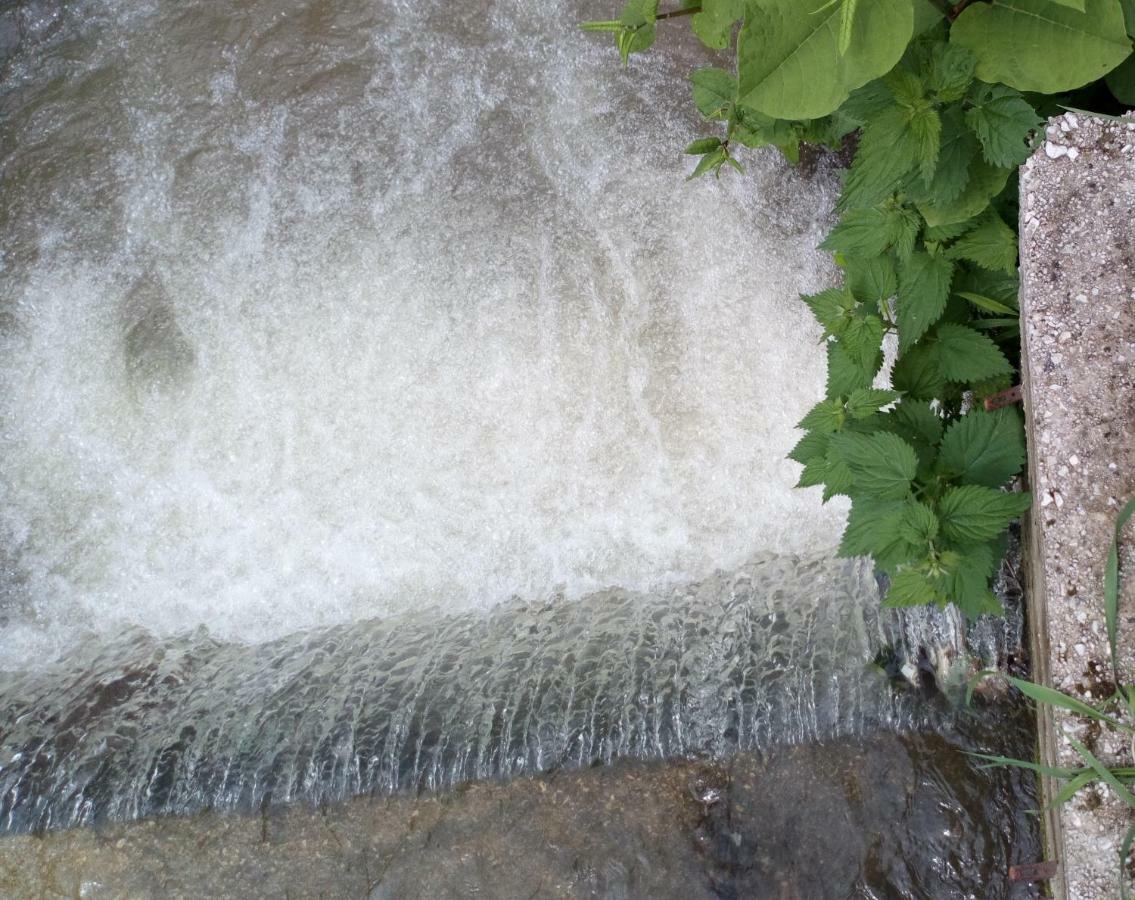 Cottage Forest Stream Visoko Bagian luar foto